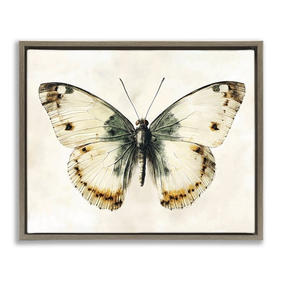Stupell Industries Moth Study Symmetry Brown Framed Floater Canvas Wall Art, design by Creative Studio, 17 x 21