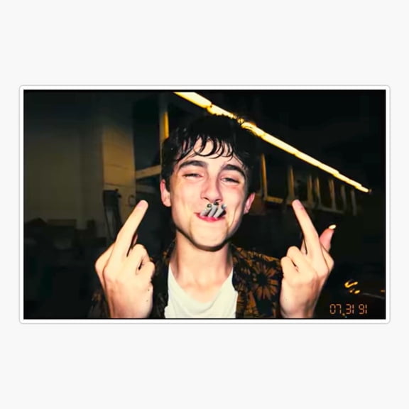 Moth Sunny Coastal Inspired Decor Art Vinyl Sticker