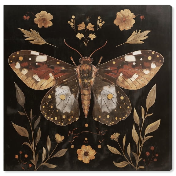 Moth and Moonflowers Canvas Folk Art Prints by Art Remedy, Gallery Wrapped, 20" x 20"