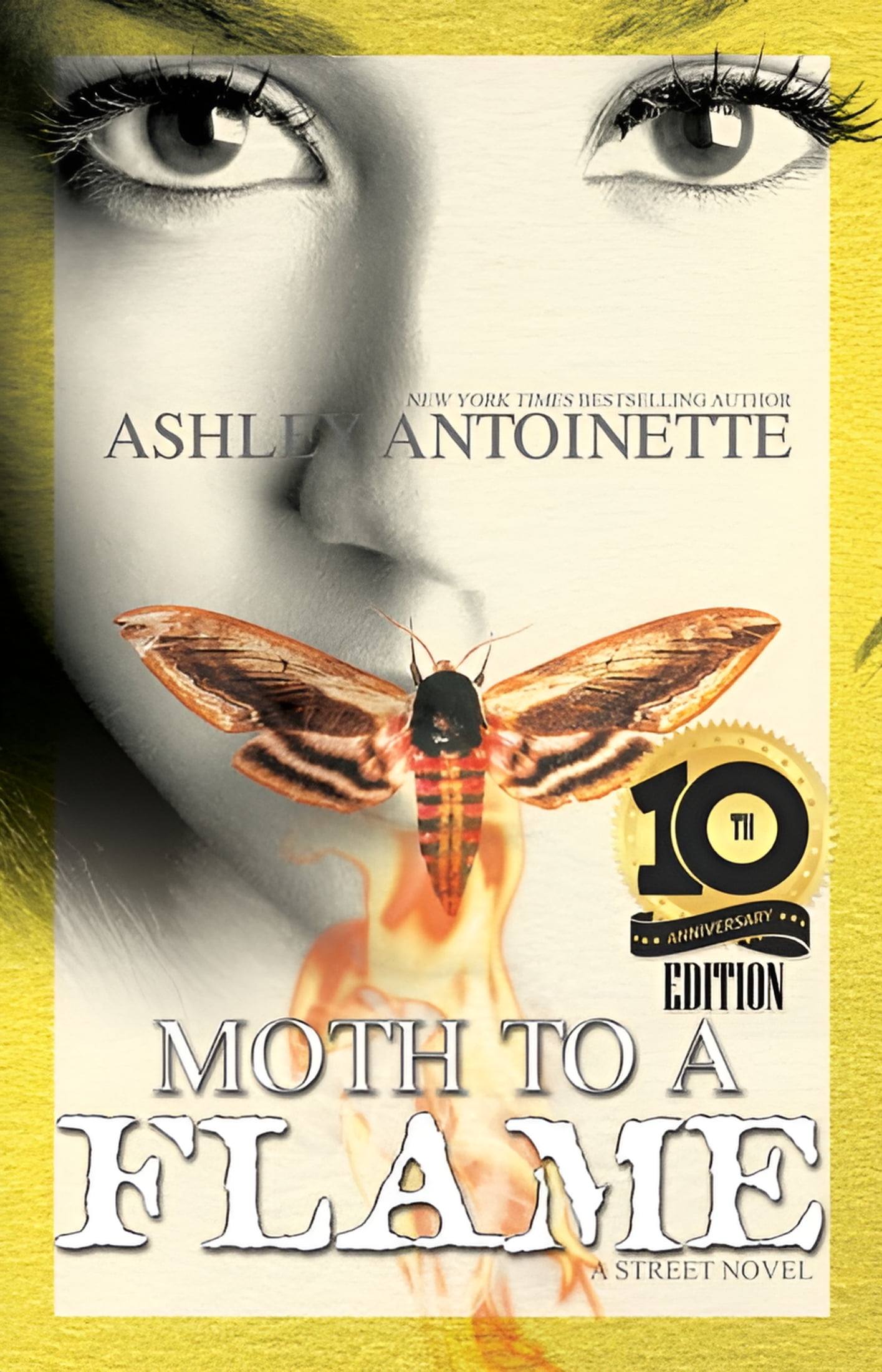 ASHLEY ANTOINETTE Moth to a Flame : Tenth Anniversary Edition (Paperback)