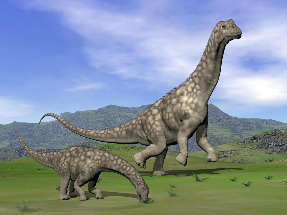 Mother Argentinosaurus dinosaur and baby grazing a green landscape Canvas Art - Elena DuvernayStocktrek Images (33 x 25)