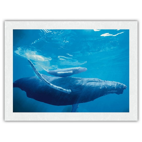 Mother and Calf - Hawaiian Humpback Whales (Koholā) - From an Original Color Photograph by Michael S. Nolan - Japanese Unryu Rice Paper Art Print 24 x 32 in