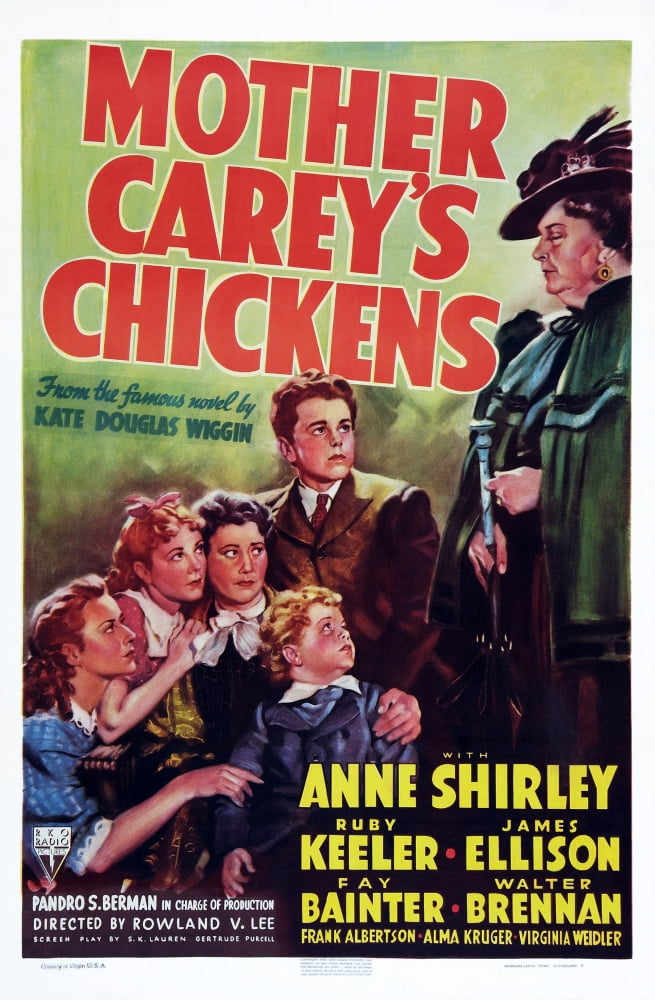 Mother CareyS Chickens U Canvas Art - (24 x 36)