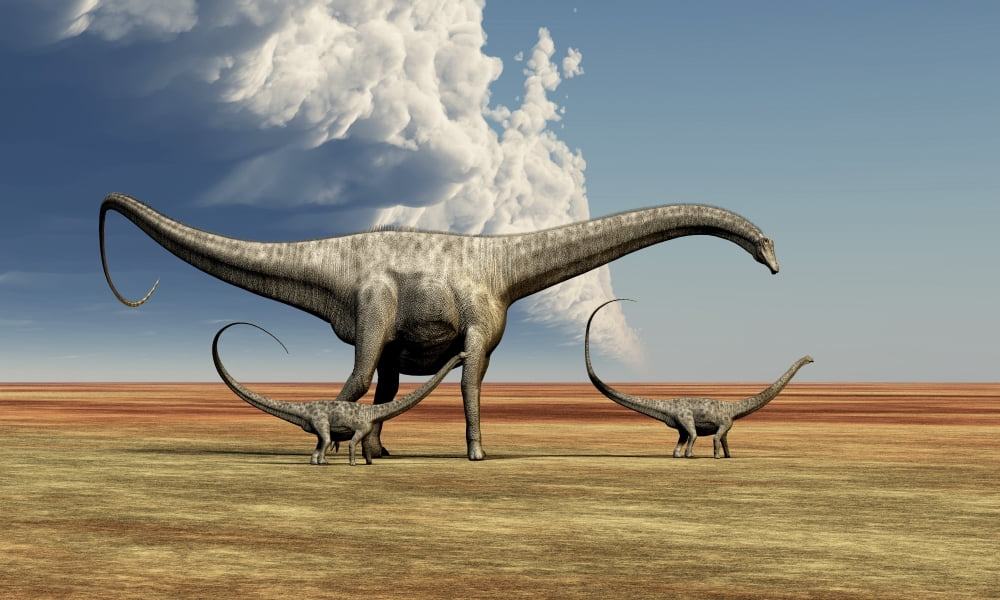 Mother Diplodocus dinosaur walks along with her brood of youngsters Canvas Art - Corey FordStocktrek Images (18 x 11)