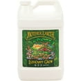 thumbnail image 1 of Mother Earth HGC733933 Liquicraft Grow Hydroponic Plant Nutrients 1 Gal., 1 of 8