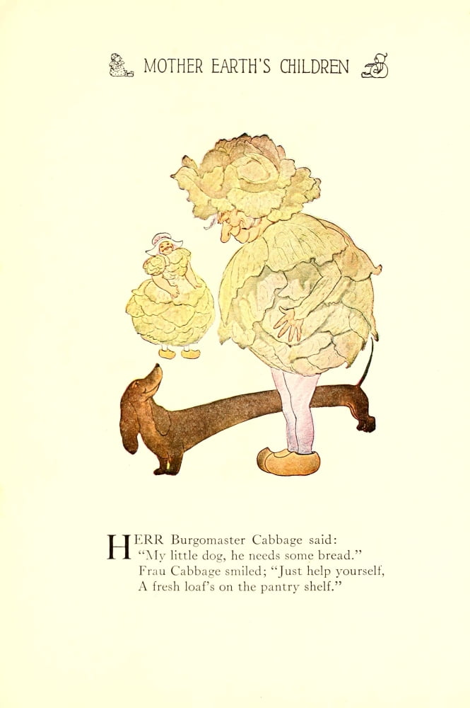 Mother Earths Children 1914 Burgomaster Cabbage Canvas Art - MT Ross (18 x 24)