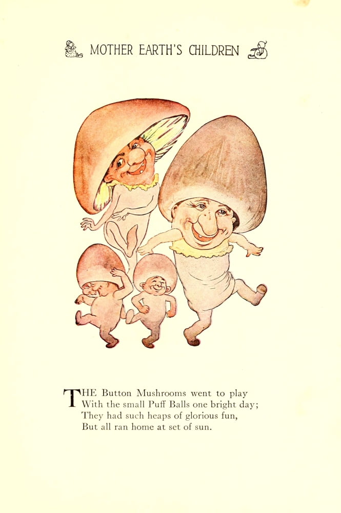 Mother Earths Children 1914 Button & Puffball Mushrooms Canvas Art - MT Ross (18 x 24)