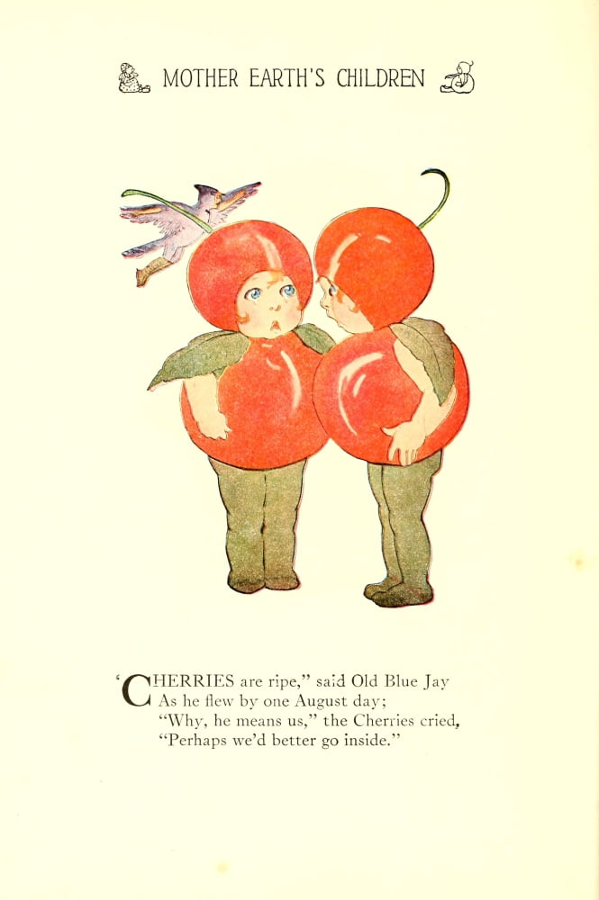 Mother Earths Children 1914 Cherries Canvas Art - MT Ross (18 x 24)