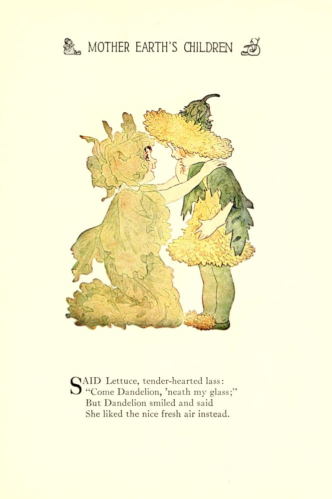 Mother Earths Children 1914 Lettuce & Dandelion Canvas Art - MT Ross (24 x 36)