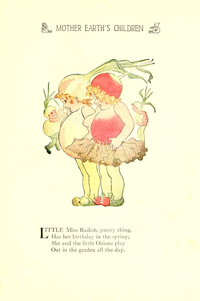 Mother Earths Children 1914 Little Miss Radish Canvas Art - MT Ross (18 x 24)