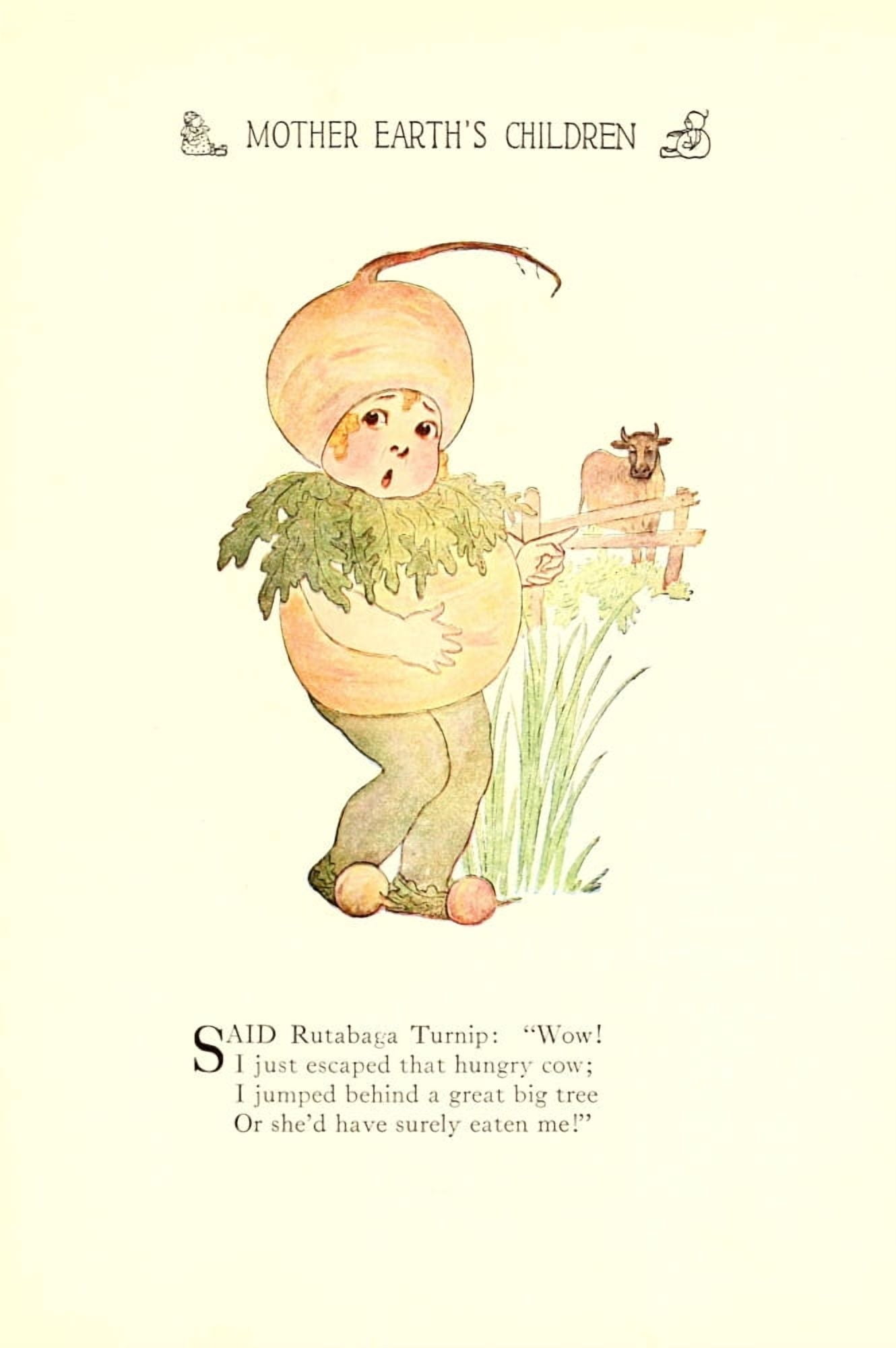 Mother Earths Children 1914 Rutabaga Turnip Canvas Art - MT Ross (18 x 24)