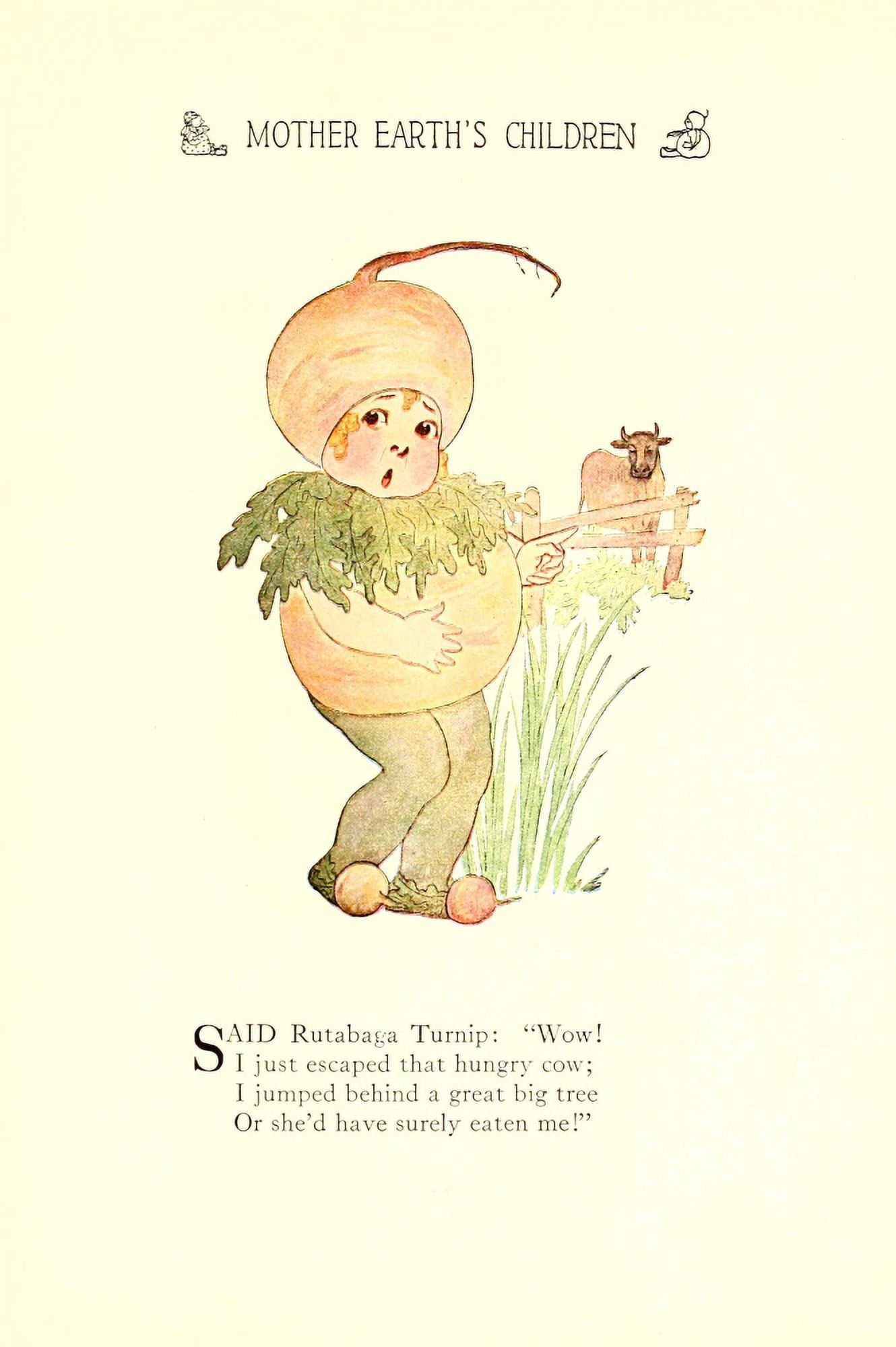 Mother Earths Children 1914 Rutabaga Turnip Canvas Art - MT Ross (24 x 36)