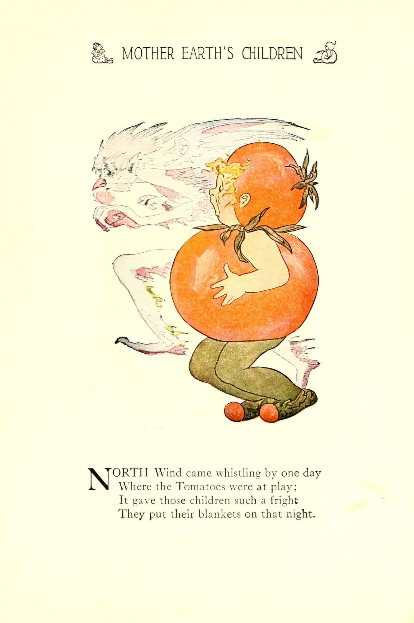 Mother Earths Children 1914 Tomato Canvas Art - MT Ross (18 x 24)