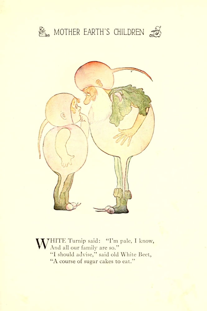 Mother Earths Children 1914 White Turnip & Beet Canvas Art - MT Ross (18 x 24)
