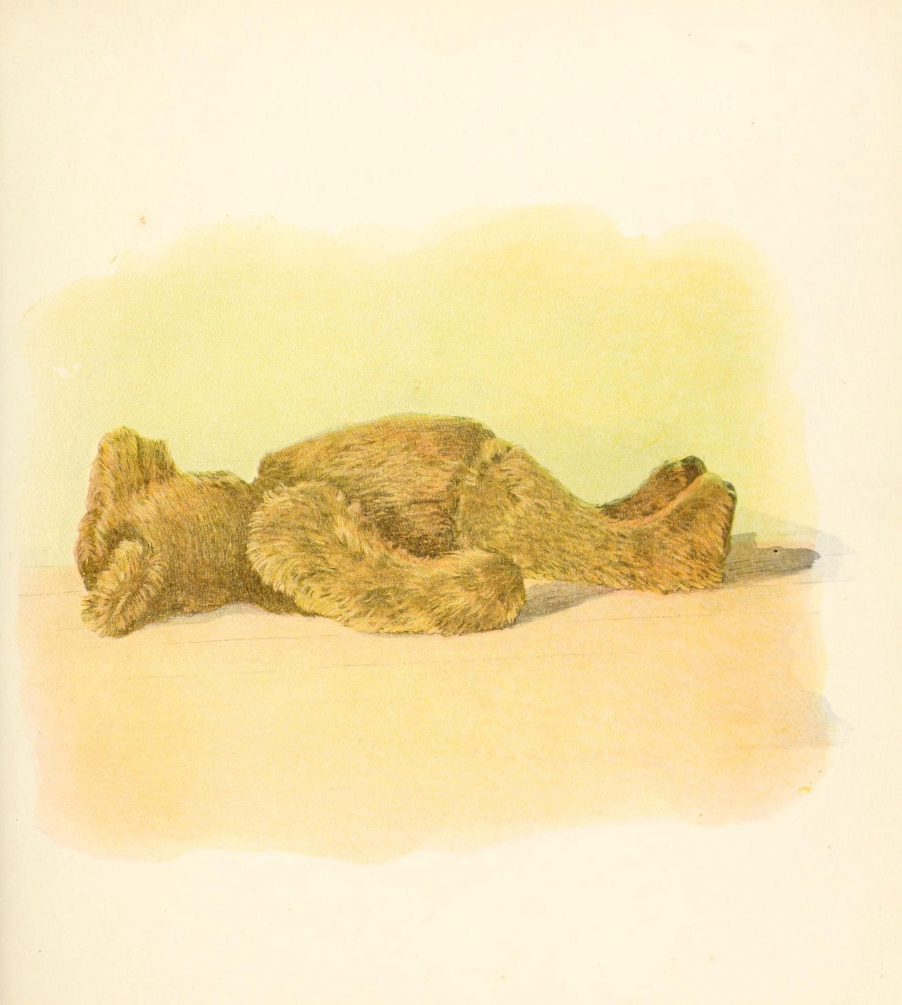 Mother Gooses Teddy Bears 1907 Dead Ted Canvas Art - Frederick L Cavally (18 x 24)