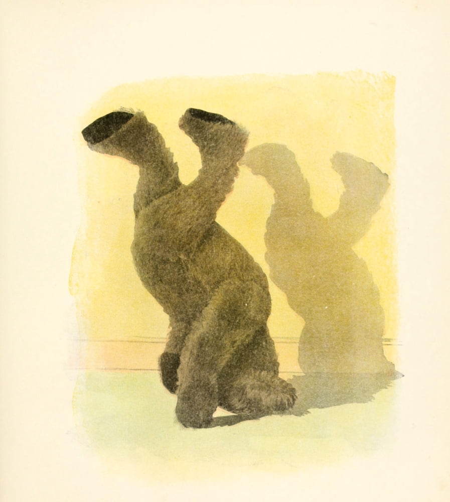 Mother Gooses Teddy Bears 1907 Headstand Bear Canvas Art - Frederick L Cavally (18 x 24)
