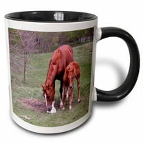 3drose, Mother Horse with Colt, 15oz Two-tone Black Mug