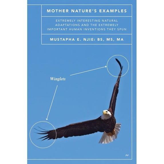 Mother Nature's Examples: Extremely Interesting Natural Adaptations and ...