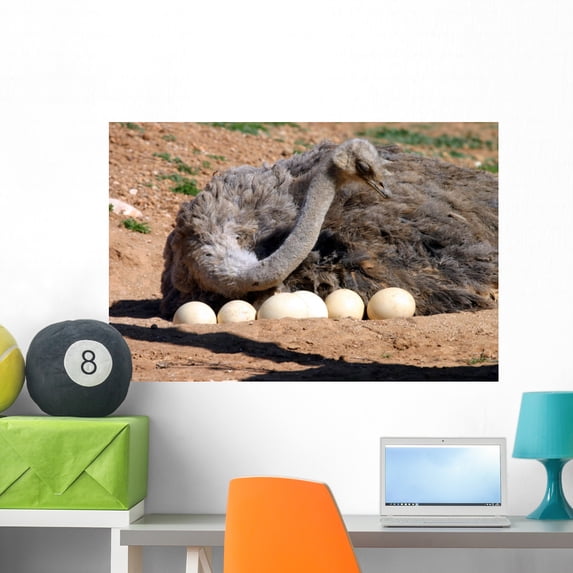 Mother Ostrich Wall Mural by Wallmonkeys Peel and Stick Graphic (36 in W x 24 in H) WM341504