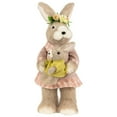 thumbnail image 1 of Northlight Mother Rabbit with Baby Bunny Easter Figure - 14.5" - Brown and Rose Pink, 1 of 6