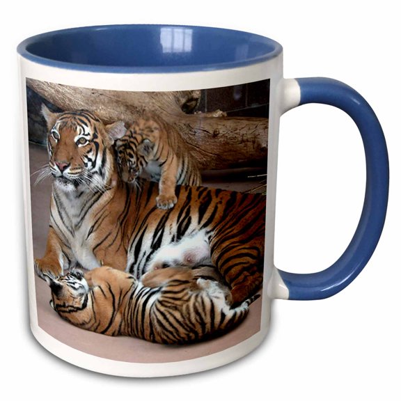 3drose, Mother Tiger with Cubs, 11oz Two-tone Blue Mug