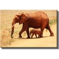 thumbnail image 1 of Mother and Baby Elephant Crossing Picture on Stretched Canvas, Wall Art Décor, Ready to Hang!, 1 of 3