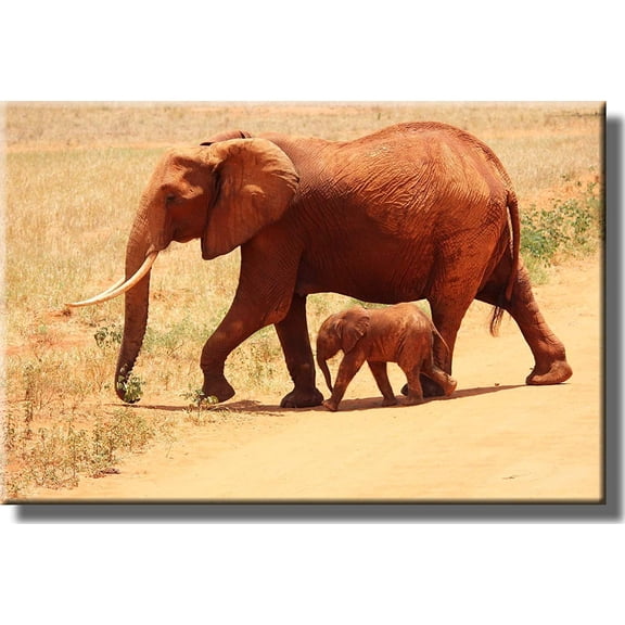 Mother and Baby Elephant Crossing Picture on Stretched Canvas, Wall Art Décor, Ready to Hang!