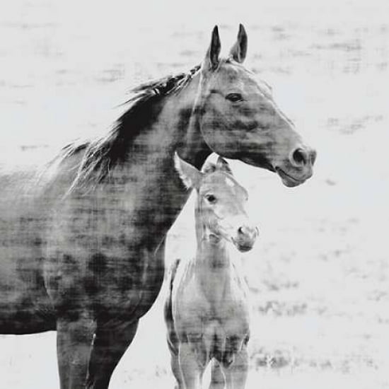 Mother and Child Border Canvas Art - Carol Walker (24 x 24)
