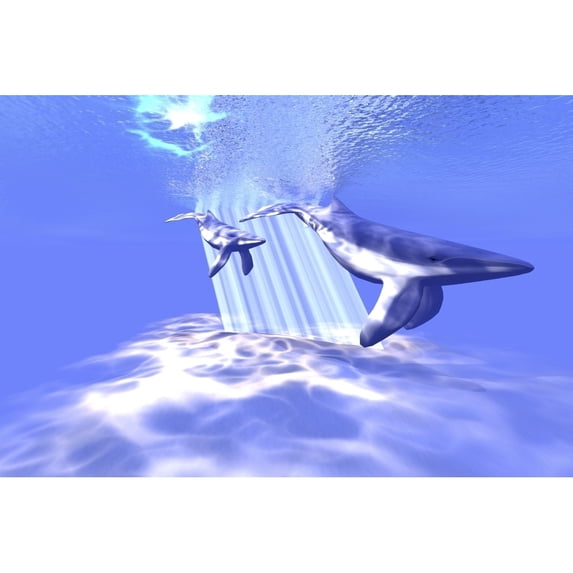 Mother and baby glide through crystal clear waters of the ocean Poster Print