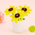 thumbnail image 1 of Mother's Day DIY Hairy Flower Pot Kit, Sunflower & Turmeric Potted Plants for Kids, Kindergarten Crafts, Fun Parent-Child Activity, 1 of 6