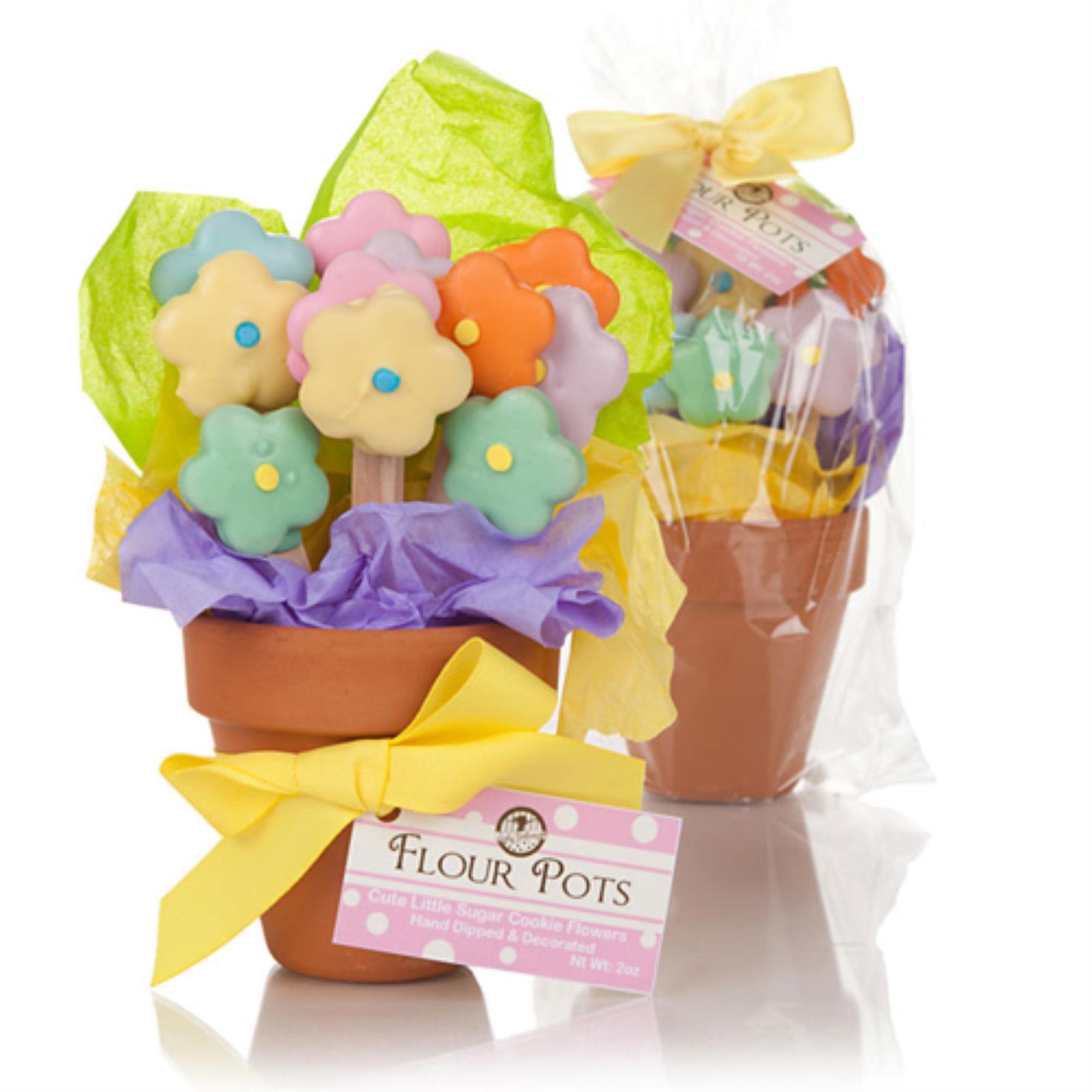 Mother's Day Flower Pot of Edible cookies - image 1 of 1