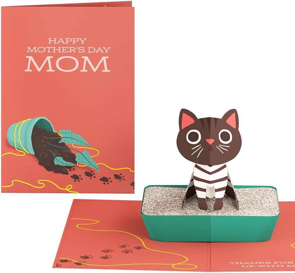 Mother's Day Pop-Up Card for Her - 3D Greeting Cards Mom, Wife, Women Thanks Putting Up with My Mess 5" x 7" Blank Notecard & Envelope Included