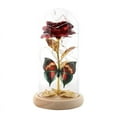 thumbnail image 1 of Mother's Day Rose Gifts for Mom,Light Up Preserved Rose Flower Butterfly in Glass Dome,Personalized Birthday Gifts,Valentines Da Gifts, Gifts for Mom,Eternal Roses in Dome Glass, 1 of 1
