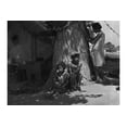 thumbnail image 1 of Motherless migrant children. They work in the cotton fields Poster Print by Dorothea Lange (24 x 36), 1 of 1