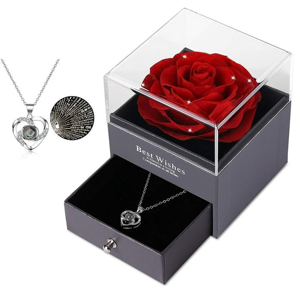 Mothers Day Flower Gifts for Her, Preserved Real Flower Rose with Silver-Tone Heart Necklace I Love You in 100 Languages Gift Set, Enchanted Flower Rose Gifts, Red