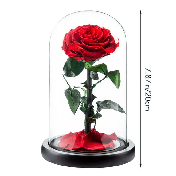Mothers Day Giftsroses Gift for Her Birthday Gifts for Women Colorful Artificial Flower Rose Gift Light Up Rose In A Glass Dome Mom Gifts Unique Love Gifts for Mom Women Mom Gift for Mothers Day