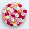 thumbnail image 1 of Mothers Day Guarantee - 200 Stems of Assorted Color Carnations- Next Day Delivery Option at Checkout - Beautiful Fresh Cut Flowers- Express Delivery, 1 of 4