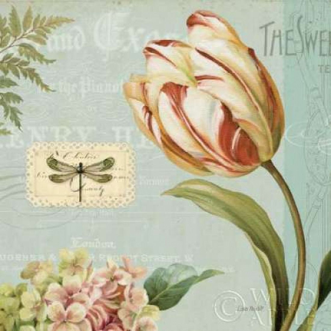 Mothers Treasure II Canvas Art - Lisa Audit (24 x 24)