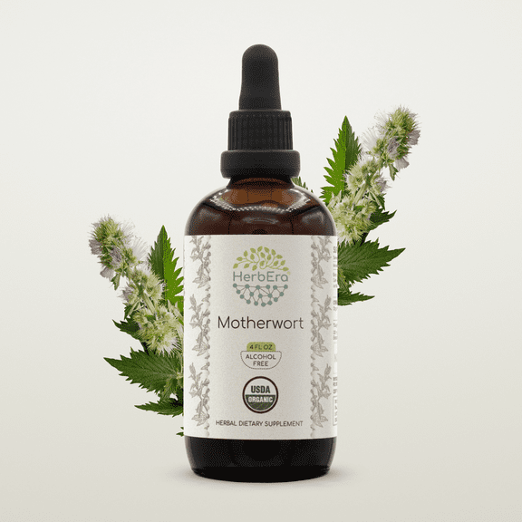 HerbEra Motherwort Tincture, Organic Herbal Dietary Supplementfor Women’s Wellness Support, Certified Organic Motherwort (Leonurus cardiaca) Dried Herb Extract, Natural, Alcohol-Free, Drops 4 oz