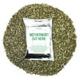 Motherwort Herbal Tea Ingredients 100 Natural Motherwort, Cut