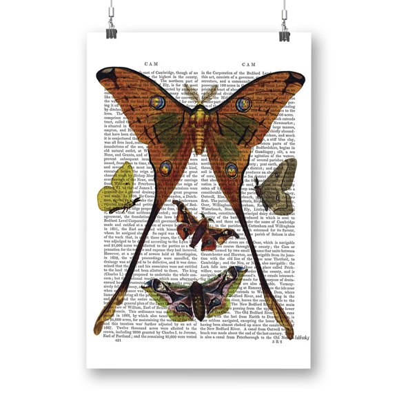 Moths In Paper Poster - Fab Funky Designs,