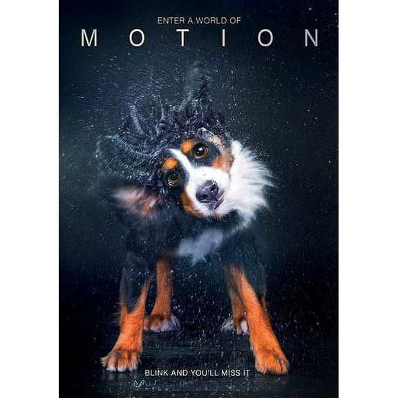 Motion (DVD), Ruthless, Documentary