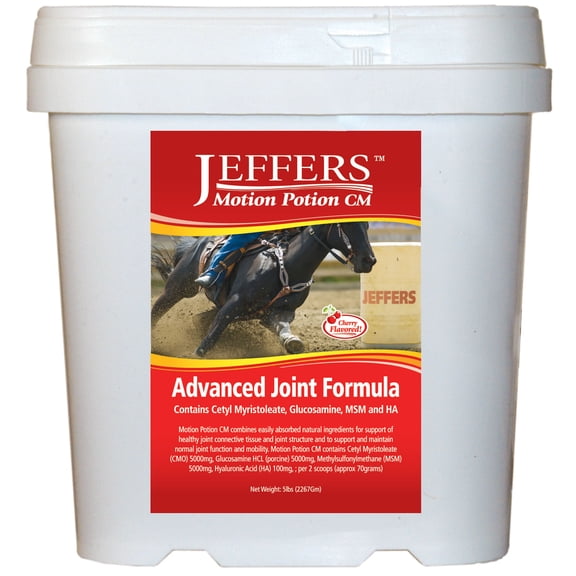 Jeffers Equine Motion Potion CM Horse Joint Supplement Powder with Glucosamine, 5 lb - MSM, Hyaluronic Acid & Cetyl Myristoleate | Supports Cartilage, Mobility & Flexibility | Cherry Flavor