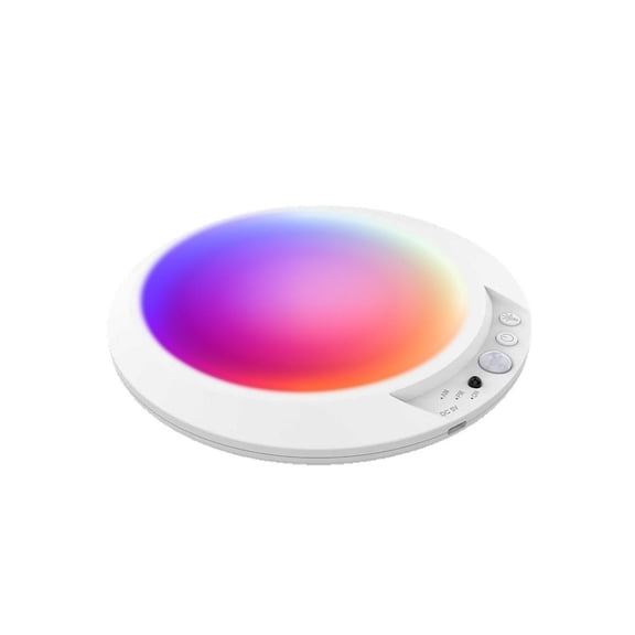 Motion Sensor Ceiling Light - Rechargeable with Remote Control, Flush Mount Fixture for Hallway, Entryway, Balcony, Closet, Laundry Room - Includes 1 Light, Charging Cable, Remote, Manual