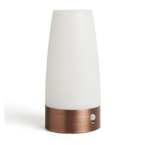 Motion Sensor Table Lamp Battery Operated Powered Desktop Night Cute Light Toddler LED Induction