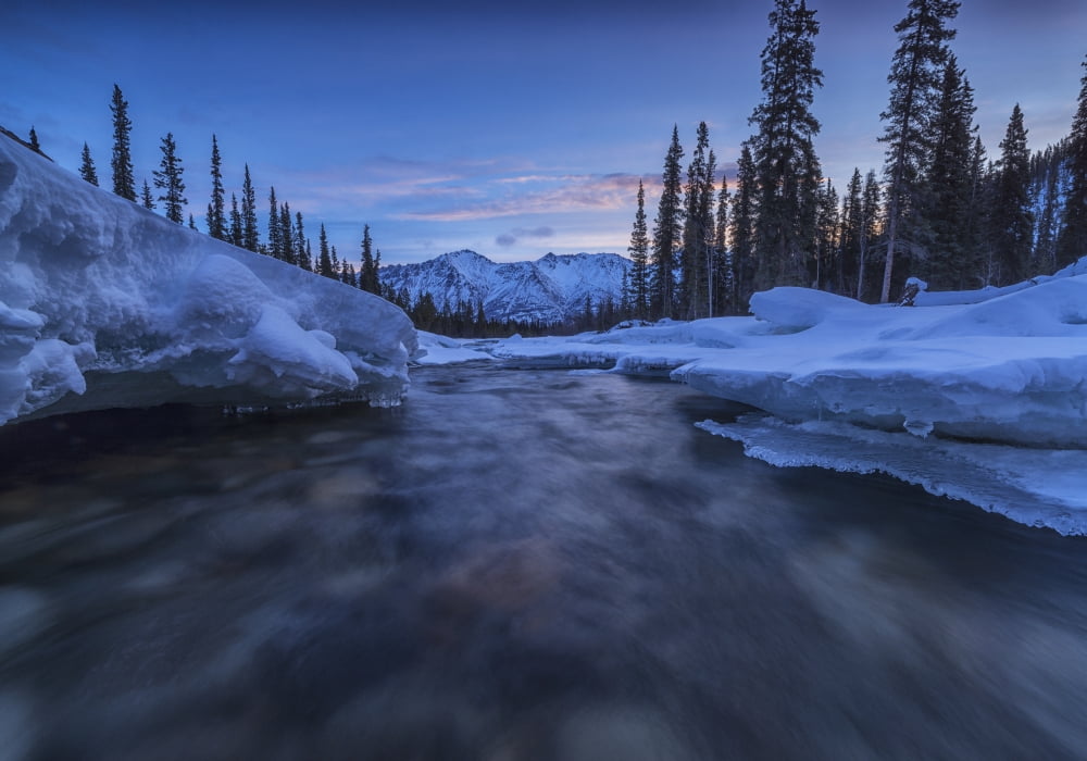 Motion blur of Wheaton River in winter Yukon Canada Canvas Art - Robert Postma Design Pics (36 x 24)