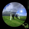 thumbnail image 1 of Motionfield - Capsula - Music & Performance - CD, 1 of 1