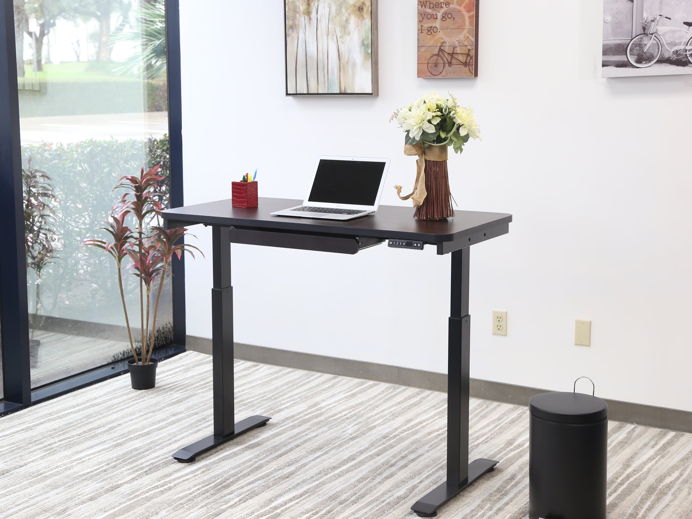 Motionwise Walnut Electric Height Adjustable Standing Desk, 24”x48