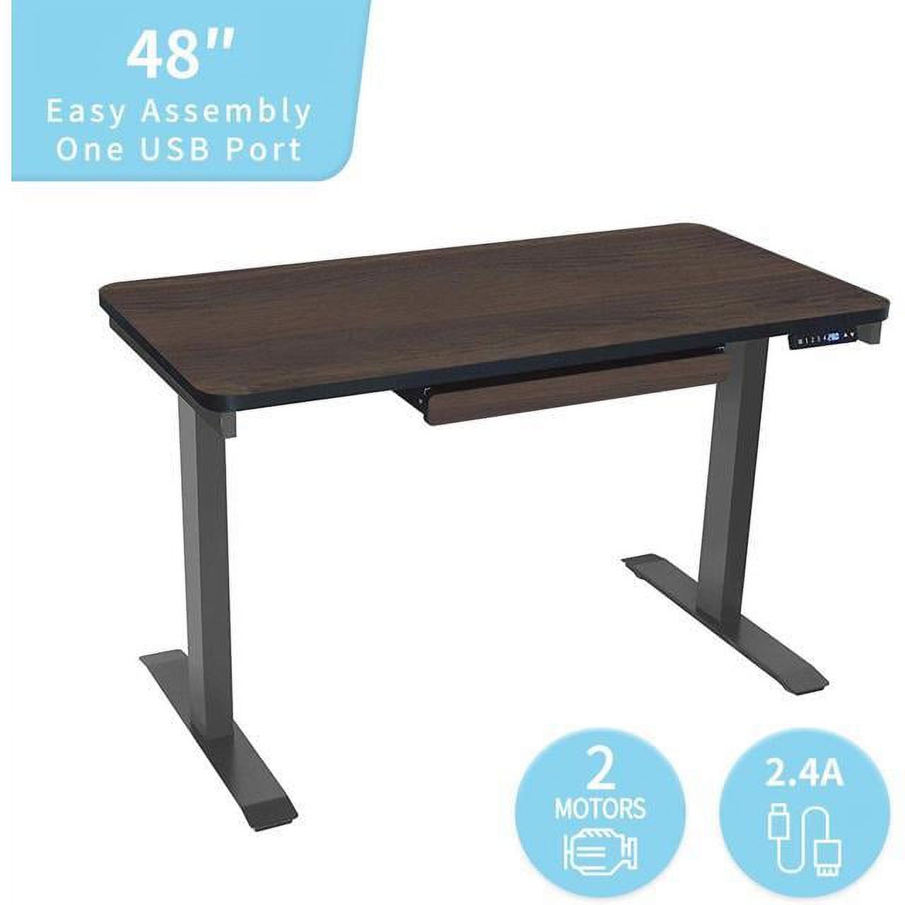 Motionwise Walnut Electric Height Adjustable Standing Desk, 24”x48