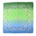 Motique Accessories 22 Inch Cotton Paisley Bandana - Walmart.com